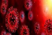 Coronavirus disease (COVID-19) is an infectious disease caused by a newly discovered coronavirus.